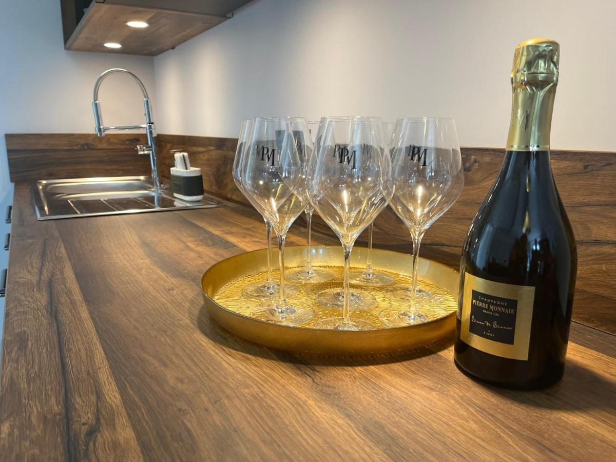Verzy Domaine Pierre Monnaieヴィラ エクステリア 写真